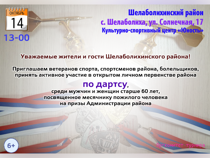 Соревнования по дартсу Соревнования по дартсу.