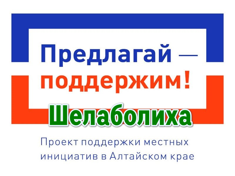 проекты местных инициатив.